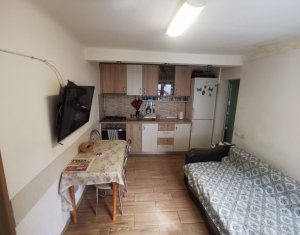 Oportunitate investitie, apartament 1 camera, l0 minute de centru pe jos 