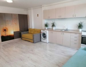Apartament cu 2 camere, mobilat, etaj 1, zona Teilor, Floresti